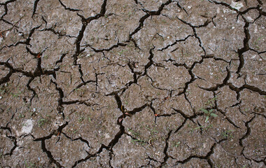 Dry land drought Cracked Ground  - 520493477