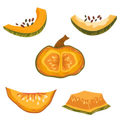 Pumpkin slices set. Pumpkin shapes with leaves, half with seeds and slices. Autumn, fall, thanksgiving and halloween decoration. Hand draw vector cartoon illustration