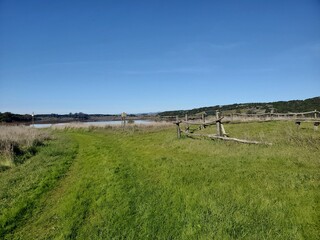 landscape with fence