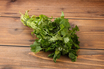 Green coriander leaves herb heap