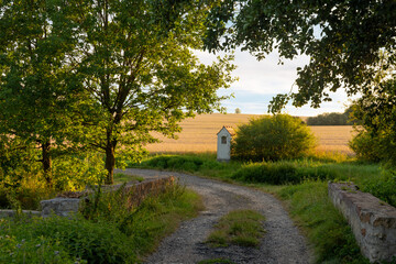 Summer evening landscape. Rural road. Central Europe.
