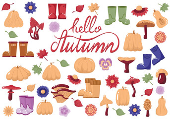 Big collection of autumn decor elements, leaves, mushrooms, pumpkins, flowers, lettering hello autumn. Vector illustration of a forest harvest for decoration of postcards, banners, web pages