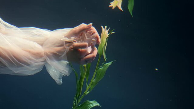 magic underwater shot with beautiful white lily in woman hands, lady is clenching petals of flower
