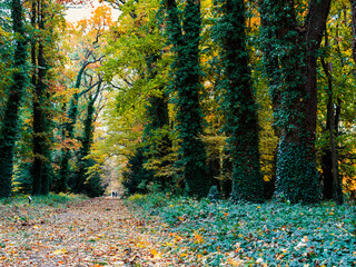 Kórnik, jesienią, piękna jesień w Polsce