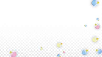Vector Realistic Colorful Petals Falling on Transparent Background.  Spring Romantic Flowers Illustration. Flying Petals. Sakura Spa Design. Blossom Confetti. Design Elements for Wedding Decoration.