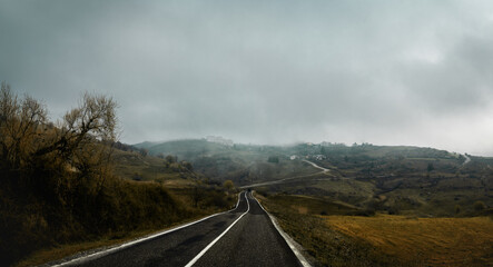 Foggy winding green vegetation road, travel