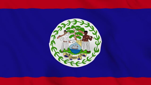 realistic Belize waving flag. smooth 4k video seemless loop 