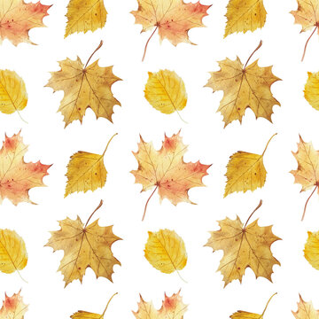 watercolor autumn forest seamless pattern. Hello fall. Yellow leaves and forest mushrooms