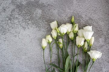 white flowers of eustoma on the background of stone granite. copy space