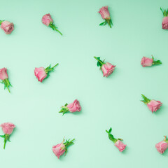 Pattern of beautiful pink roses on pastel background.