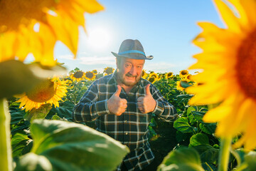 happy excited aged farmer with beard and hat looking at camera and showing ok sign with thumb up. field with the sunflower at sunset and the farm worker is smiling and very happy. copy space.