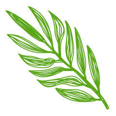 Green leaf sketch. Hand drawn vector illustration. Pen or marker doodle plant