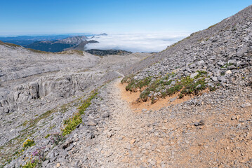 Atlantic Pyrenees. Ascent to Auñamendi