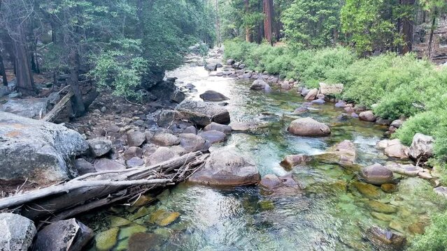 small river flows through forest in sequoia national park.
