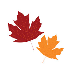 Autumn leaves isolated on white background. Flat vector design illustration
