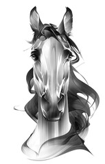 painted portrait of an animal horse on a white background