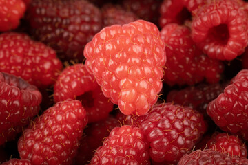 Himbeeren