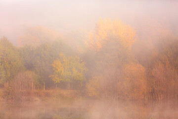 Obraz na płótnie Canvas Autumn foggy forest, Bulgaria