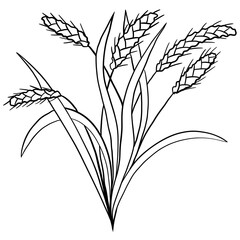 Wheat bread harvest, baking bakery concept. Floral illustration with long leaves in black line simple minimalist style. Nature plant herb print graphic ink botany.