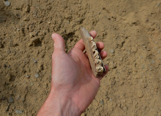 the work of an archaeologist on the excavation of a Neolithic settlement. a man holds the bones of...