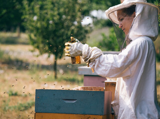 Beekeeper woman working in apiary - 520511851