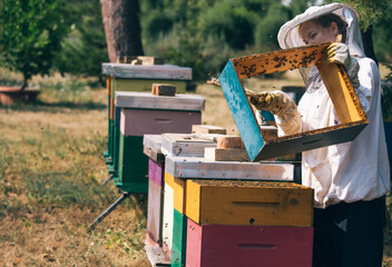 Fototapeta na wymiar Beekeeper woman working in apiary