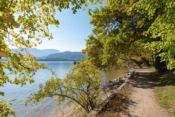 toscanapark Gmunden, lake Traunsee, autumnal colored trees at the lakeside. austrian landscape