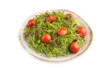 Vegetarian vegetables salad of tomatoes, celery, onion microgreen isolated on white. Side view, close up.