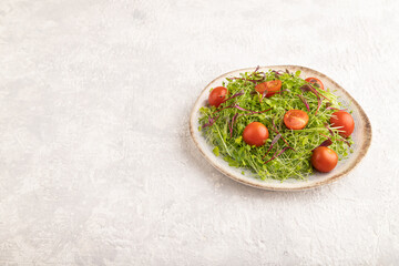 Vegetarian vegetables salad of tomatoes, celery, onion microgreen on gray concrete. Side view, copy space.