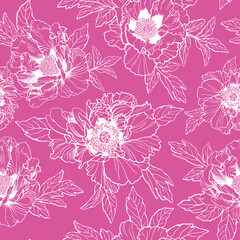 Seamless pattern with Paeonia rockii flower (tree peony, Paeonia suffruticosa, Rock's peony). White outline illustration, hand drawn work isolated on pink background