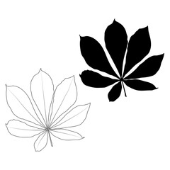 Set of vector chestnut leaf outline and silhouette black icon. Simple chestnut leaves illustration for logo. Realistic hand drawn leaves illustration set on white background.