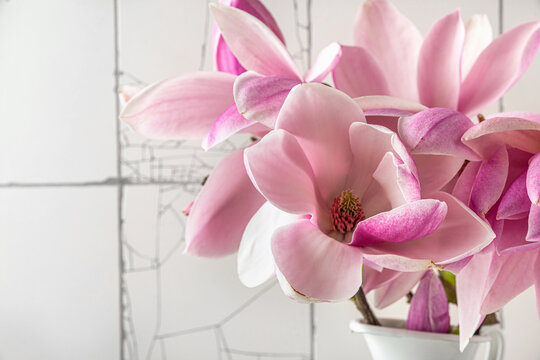 Close up of pink magnolia flowers in vase on white tile background. womans day or wedding background