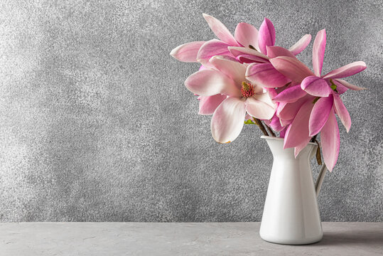 Still life with pink magnolia flowers in vase on gray concrete background with copy space. Wedding concept
