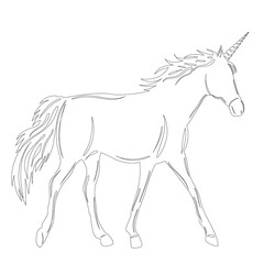 Obraz na płótnie Canvas unicorn sketch on white background outline