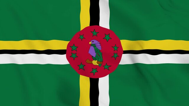 realistic Dominica waving flag. smooth 4k video seemless loop 