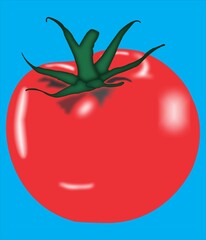tomato illustration