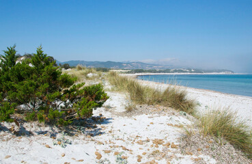 Stunning white beach in Sardinia in a summer day