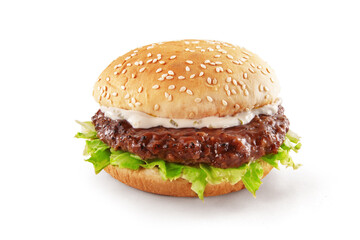 Delicious Beef Burger consists of Bun Bread, Patty, Pickle, Onion, Mayonnaise in white background

