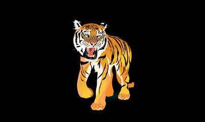 Roaring tiger stands in the black background vector