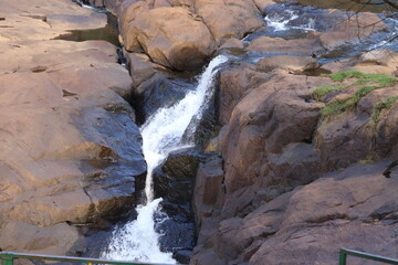 River Flow in the middle of a forest