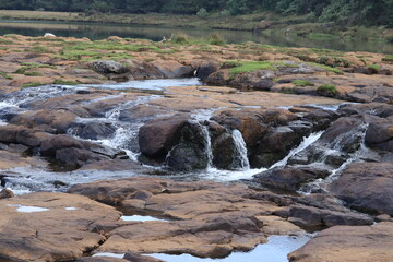 River Flow in the middle of a forest