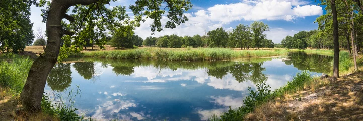 Panorama Altarm der Elbe bei Rüterberg Sommer © Carl-Jürgen Bautsch