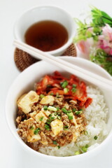 Fusion food, Chinese Mapo Tofu and Korean Kimchi on rice 