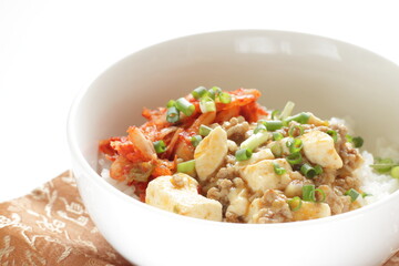 Fusion food, Chinese Mapo Tofu and Korean Kimchi on rice 