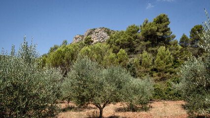 Fototapeta premium Mountains, rocks and landscapes of the Sierra Calderona natural national park in the community of Valencia Spain.