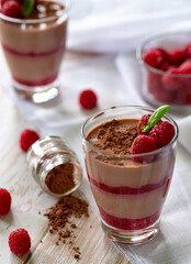 Succulent cocoa and raspberry dessert, decorated with cocoa powder and mint