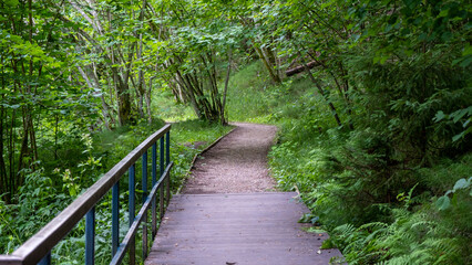 Tourist walking path through the forest. The wooden footbridge ended, a gravel road began.