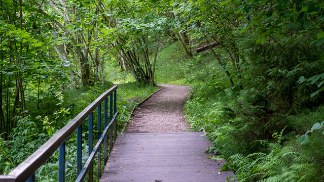 Tourist walking path through the forest. The wooden footbridge ended, a gravel road began. © Sandris