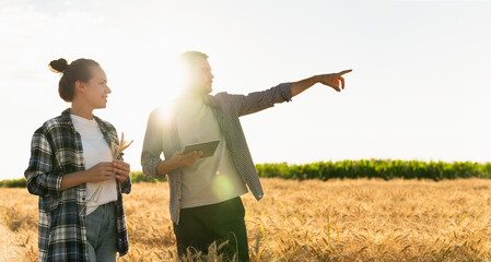 Couple of farmers examines the field of cereals and sends data to the cloud from the tablet. Smart farming and digital agriculture.