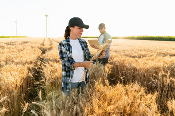 Couple of farmers examines the field of cereals and sends data to the cloud from the digital tablet...